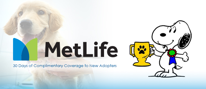 MetLife 30 days of complementary coverage to new pet adopters. Image of Snoopy holding a trophy and smiling.