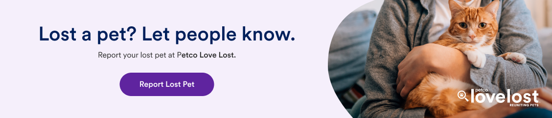 PetCo Love Lost: 1 in 3 pets will go missing. Register your pet today.