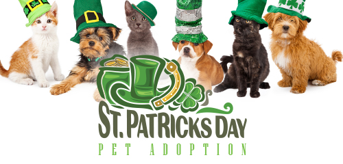 St.Patricks Day Pet Adoption Event Flyer
